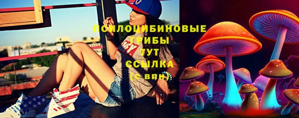 спиды Алзамай